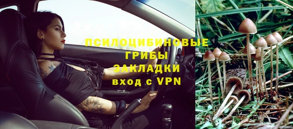 apvp Чекалин