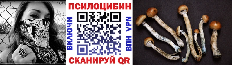 мега зеркало  Чадан  Галлюциногенные грибы Magic Shrooms 